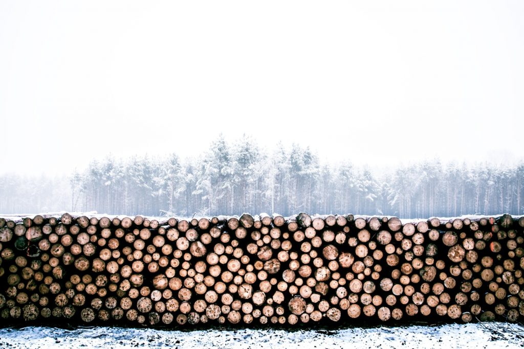 Wood Processing